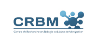 CRBM